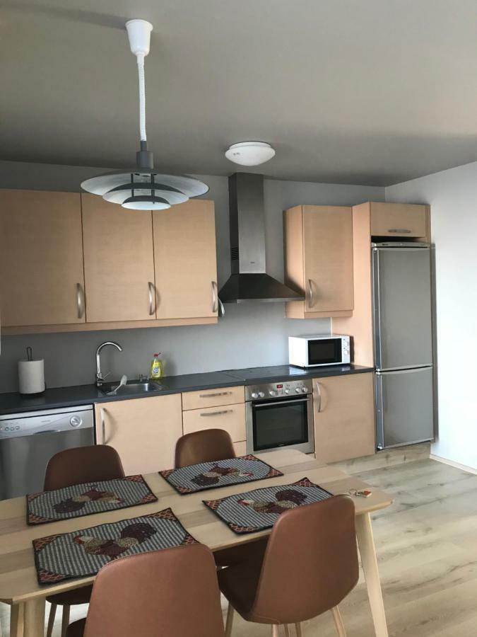 Downtown Apartments At Old Harbor ريكيافيك المظهر الخارجي الصورة